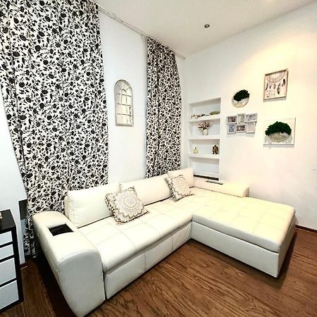 Harmony Homes- Piata Unirii Central Apartament Timişoara Buitenkant foto