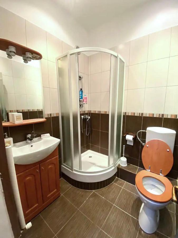 Harmony Homes- Piata Unirii Central Apartament Timişoara Buitenkant foto