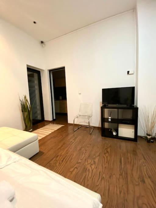 Harmony Homes- Piata Unirii Central Apartament Timişoara Buitenkant foto