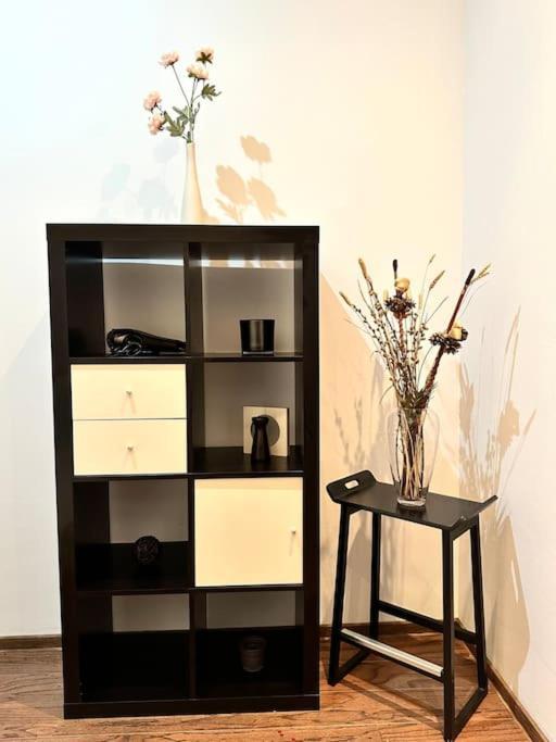 Harmony Homes- Piata Unirii Central Apartament Timişoara Buitenkant foto