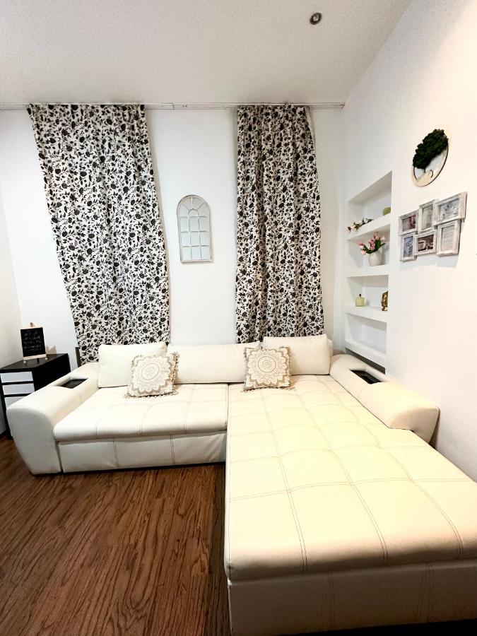 Harmony Homes- Piata Unirii Central Apartament Timişoara Buitenkant foto