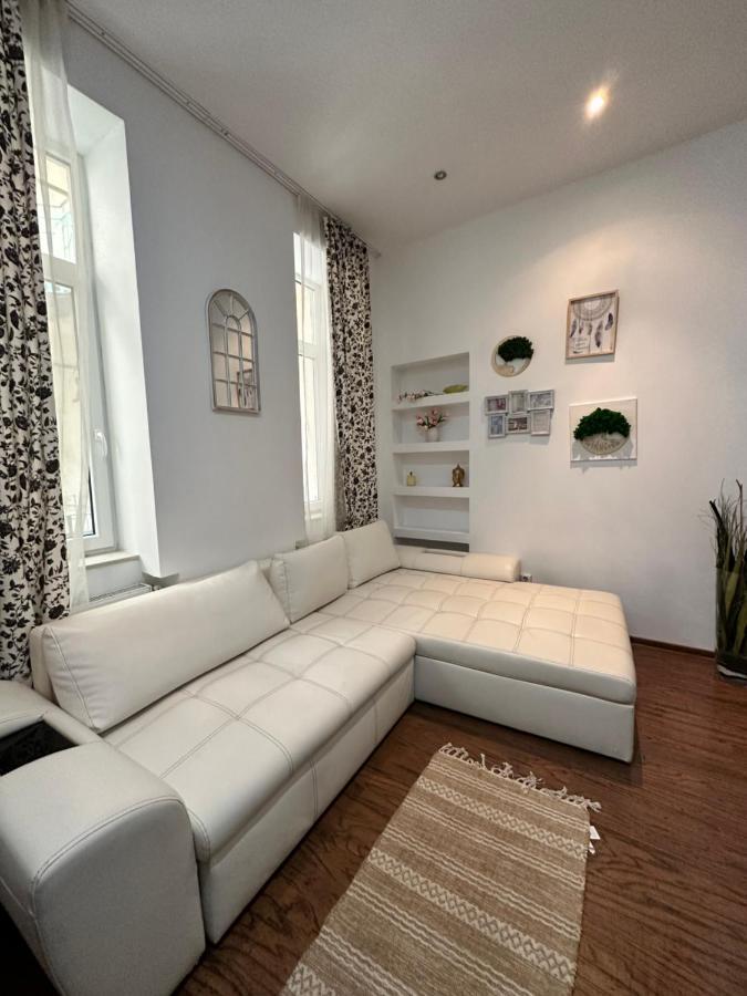 Harmony Homes- Piata Unirii Central Apartament Timişoara Buitenkant foto