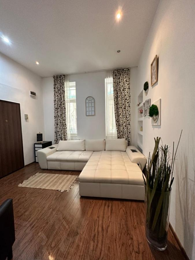 Harmony Homes- Piata Unirii Central Apartament Timişoara Buitenkant foto