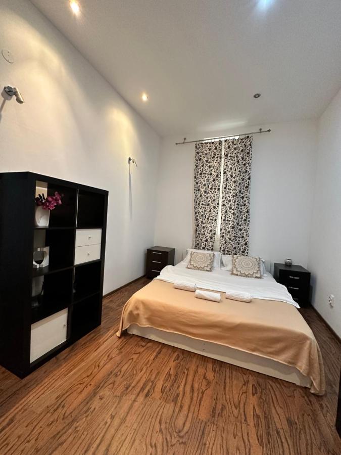 Harmony Homes- Piata Unirii Central Apartament Timişoara Buitenkant foto
